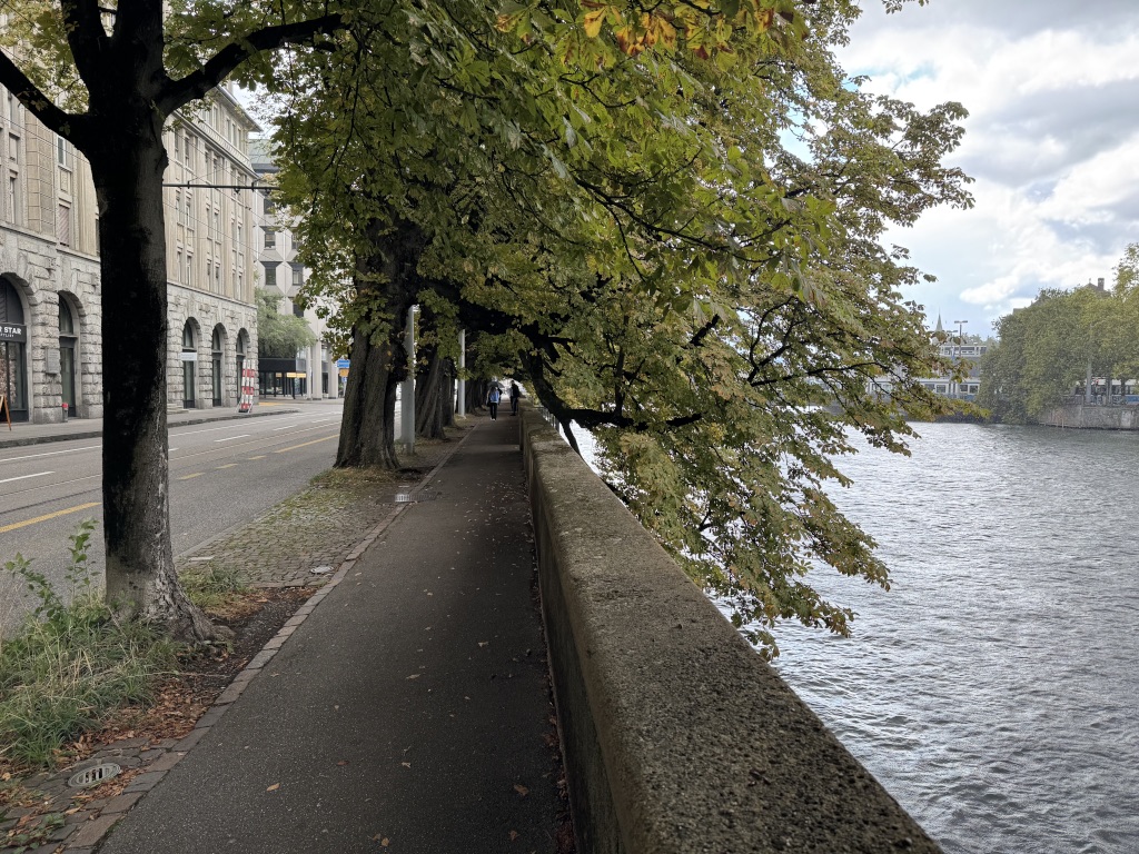 A tree tunnel over the sidewalk on Neumühlequai, along Limmat