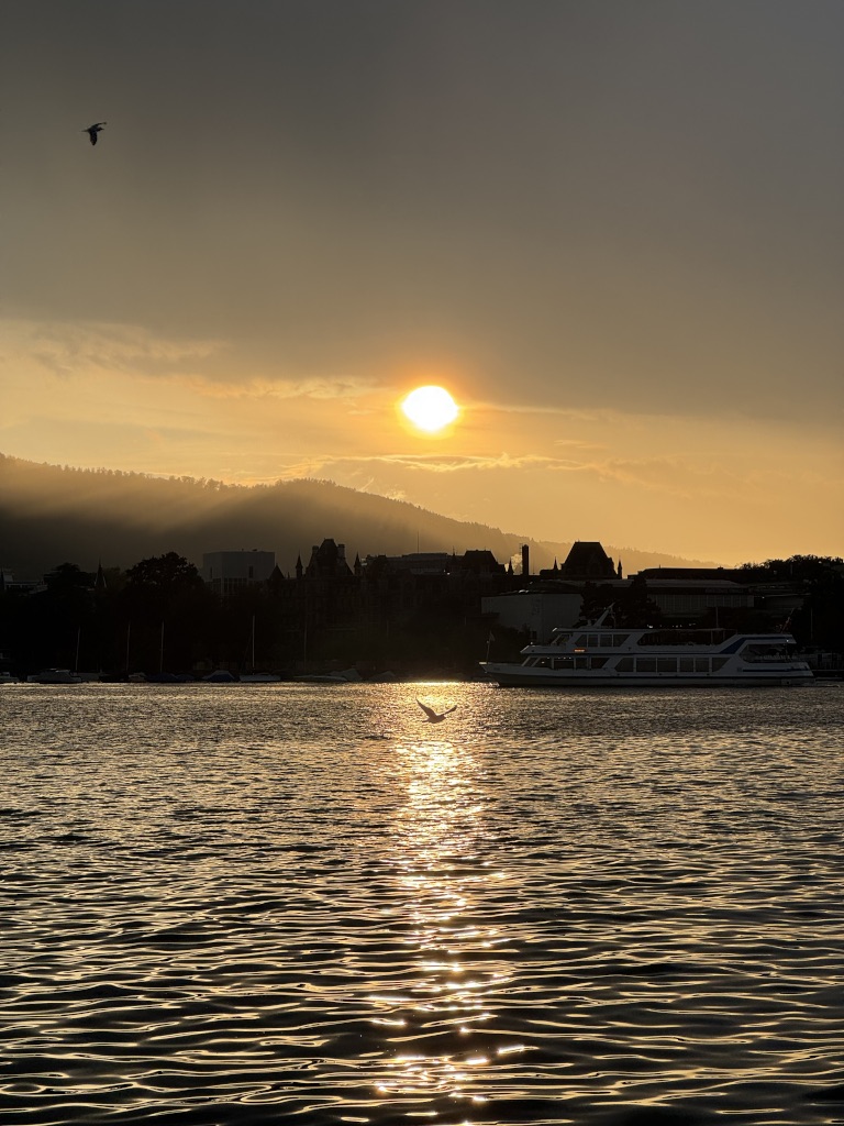 Another shot of the sunset from the boat tour on Zürichsee